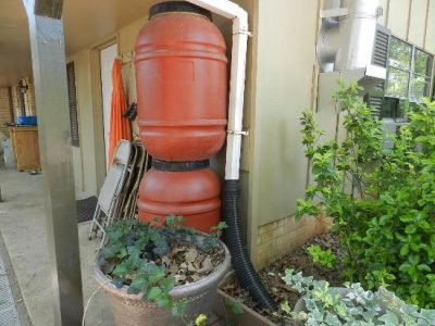 How to Save Water in a Drought Image